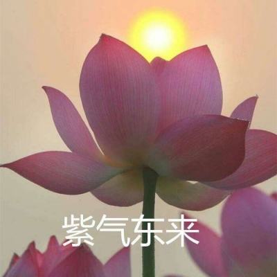 乐氪手游app下载